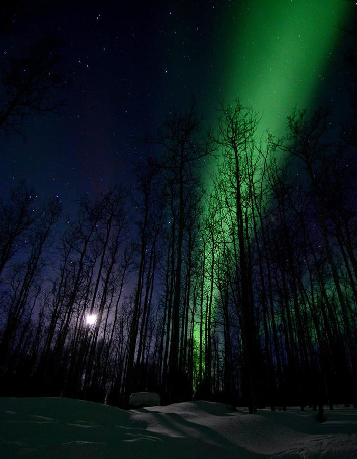 Wildmoon * Fairbanks