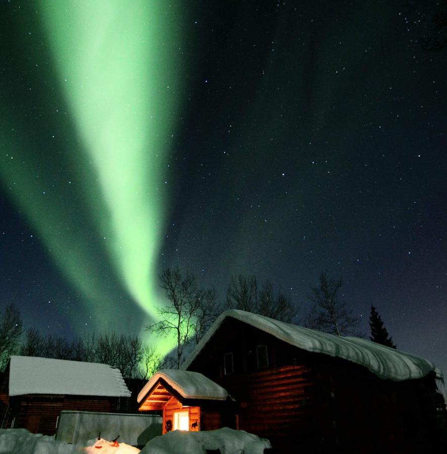 Wildmoon Holiday home *