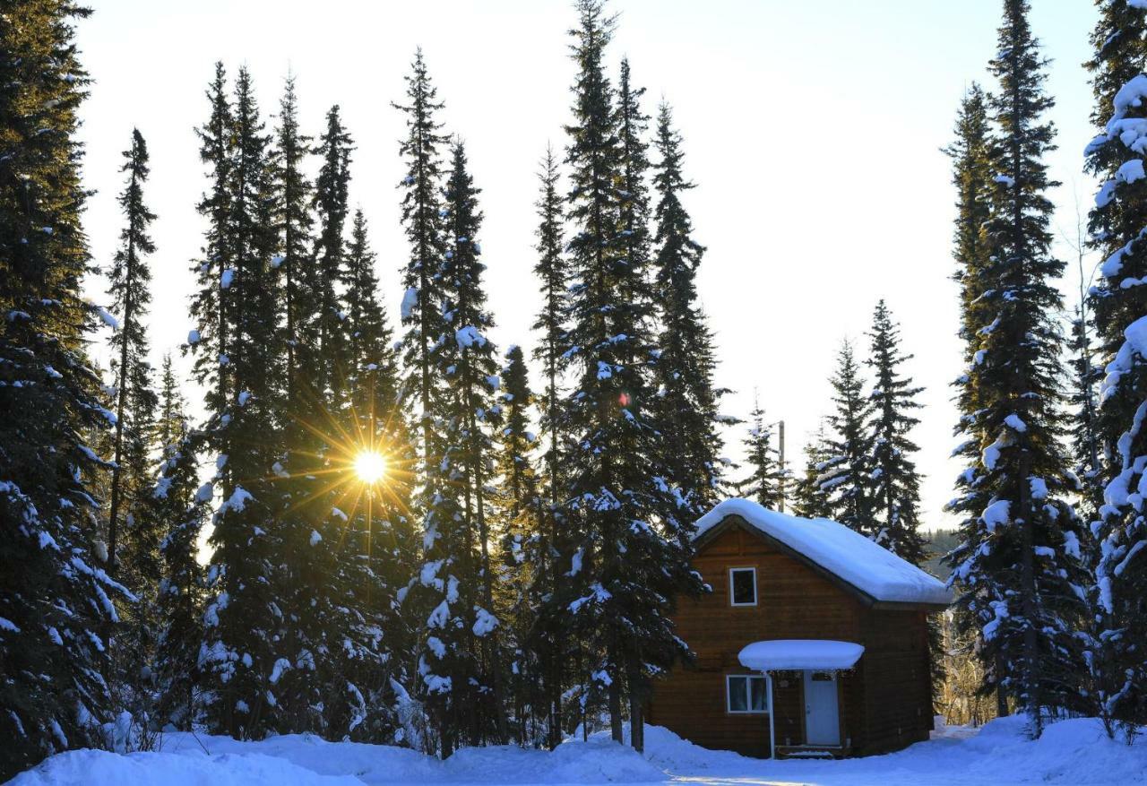 The Cabin In The Woods 3 森林小屋 3 * Fairbanks