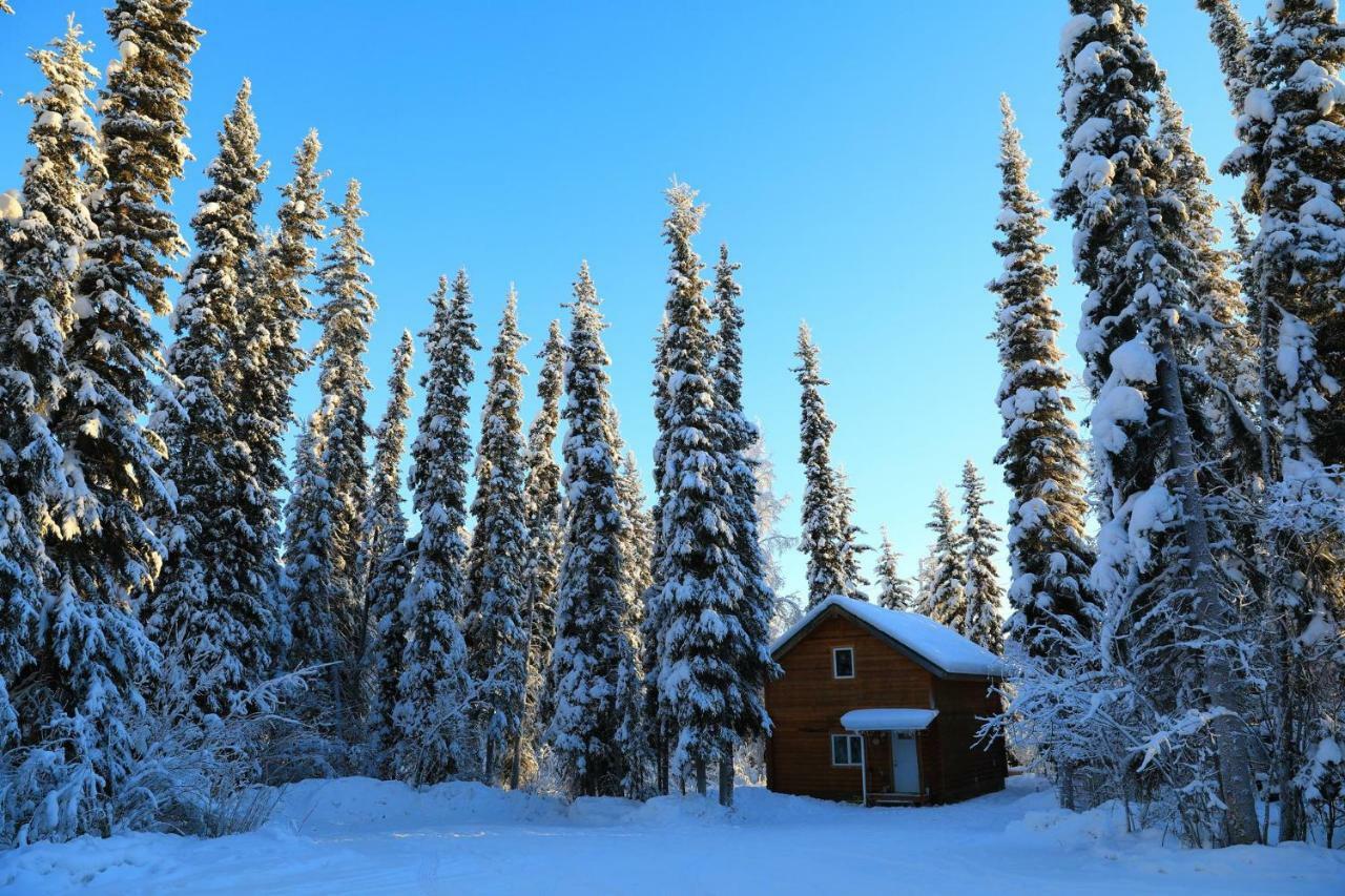 Nhà nghỉ The Cabin In The Woods 3 森林小屋 3