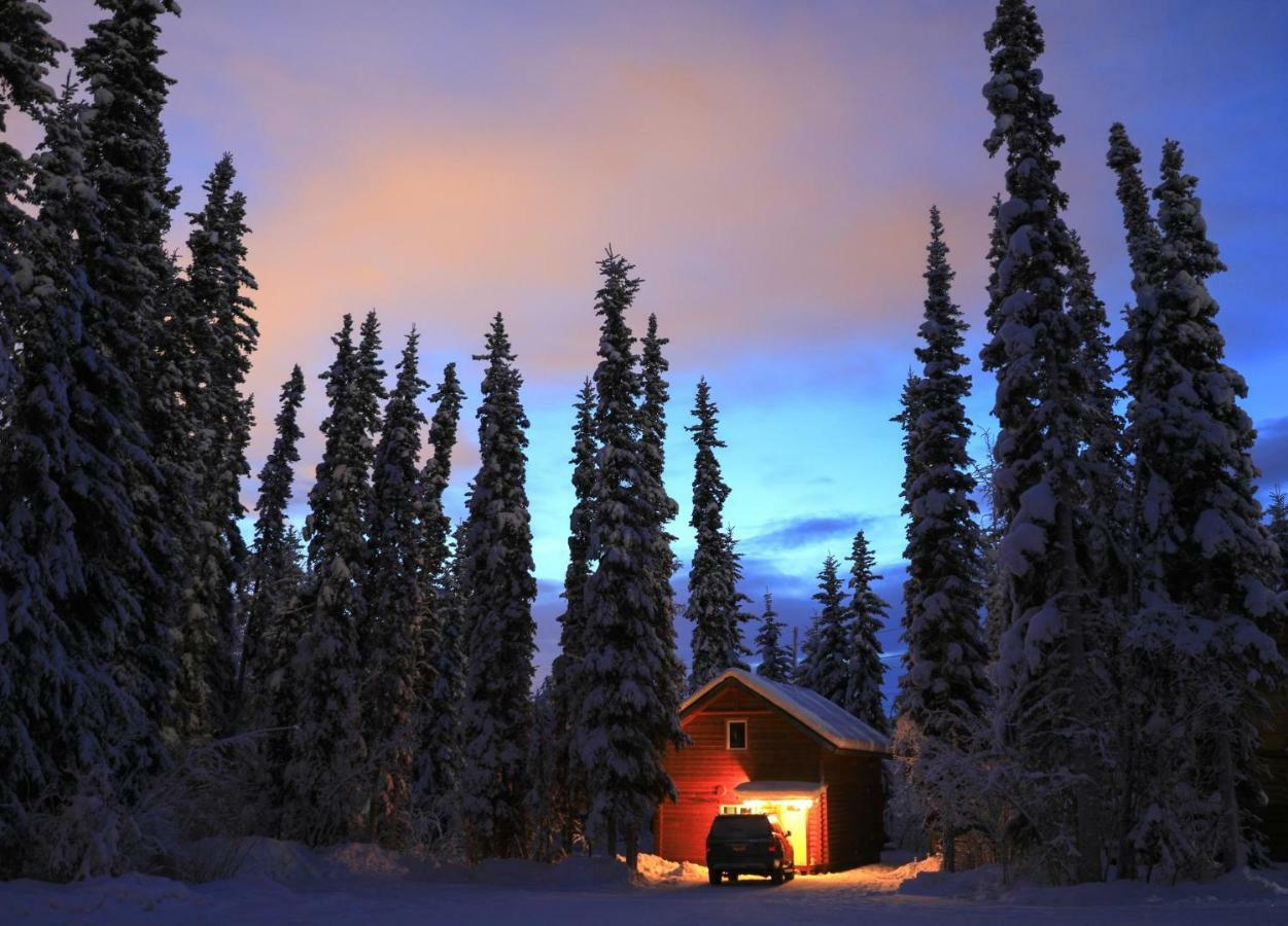The Cabin In The Woods 3 森林小屋 3 Fairbanks
